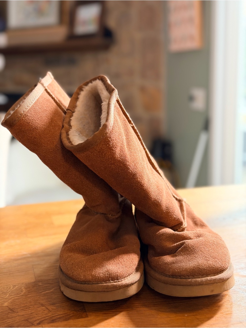 UGG Women’s Tall Chestnut Suede Boots